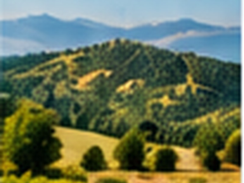Peisaje locale